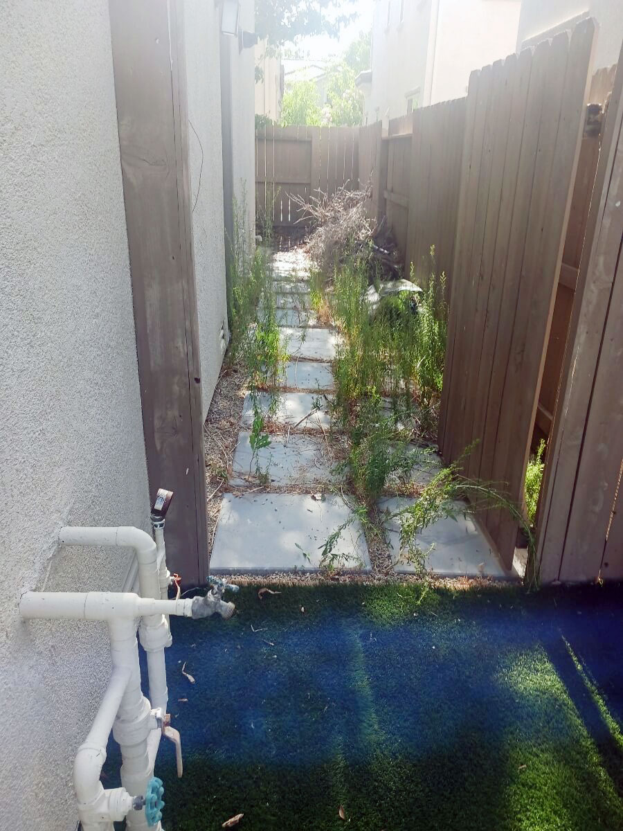 Professional lawn maintenance service